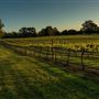 Dwellingup