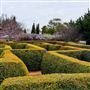Dwellingup