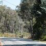 Bickley-Carmel Valley