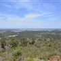 Bickley-Carmel Valley