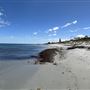 Dutch Inn Beach
