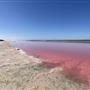 Pink Lake - Hutt Lagoon