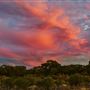 Goldfields - Esperance Region