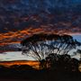 Goldfields - Esperance Region