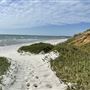 The Cove