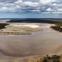 Salmon Gums