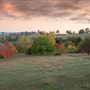 Golden Valley Tree Park