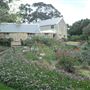 Albany - Strawberry Hill Farm