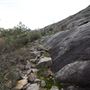 John Forrest National Park