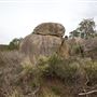 John Forrest National Park