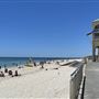 Indigo Oscar, Cottesloe
