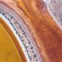 Wheatbelt Region