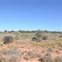 Mount Magnet Town