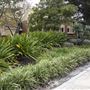 Supreme Court Gardens