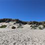 Kalbarri - Back Beach