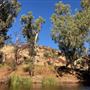Carawine Gorge & The Oakover River