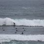 Gracetown