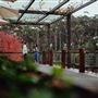 Margaret River - Leeuwin Estate Winery