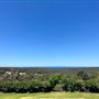Wise Wines- Eagle Bay