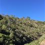 Banyowla Regional Park