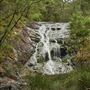 Pemberton - Warren National Park