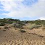 Cape Peron - Overview