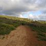 Yallingup - Rabbit Hill