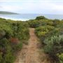 Yallingup - Torpedo Rock