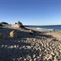 Eden Beach