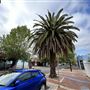 Northbridge precinct