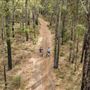 Dwellingup State Forest
