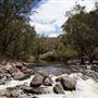 Dwellingup State Forest