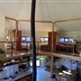 Shambala Forest Retreat