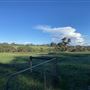 Shambala Forest Retreat