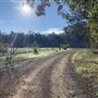 Shambala Forest Retreat