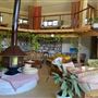 Shambala Forest Retreat