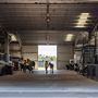Gold Front Breeding & Racing