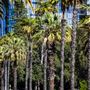 Riverside Drive
