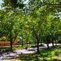 Duncraig
