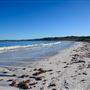 Hangover Bay