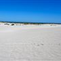 Lancelin