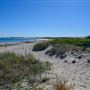 Main Beach