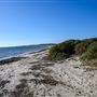 Milligan Island Eco Camping