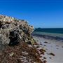 Milligan Island Eco Camping