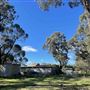 Shearing Shed @ Duke's Vineyard