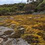 Porongorup National Park