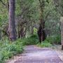 Whiteman Park