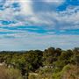 Whiteman Park