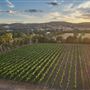 Faber  Vineyard, Swan Valley