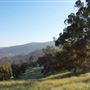 Brigadoon - Campresic Road